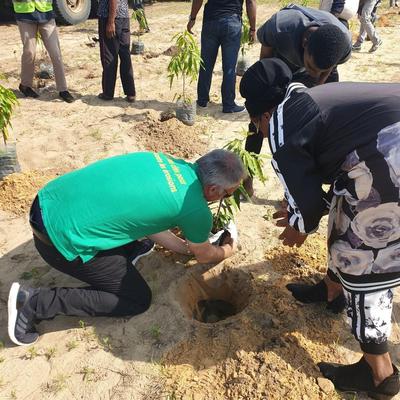 National tree planting day in Congo-Brazzaville 